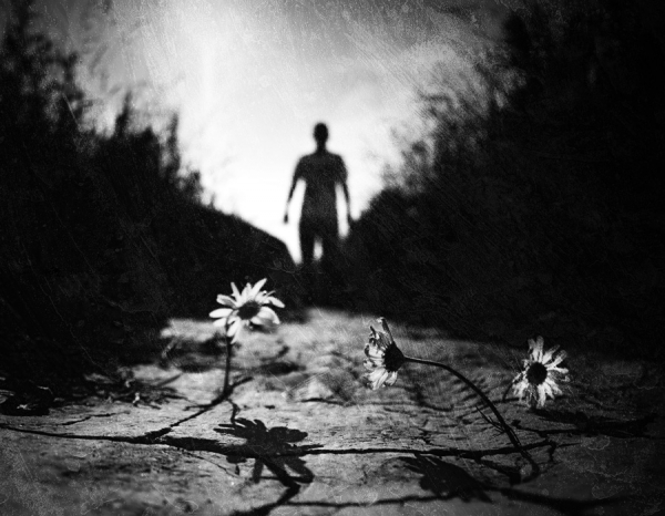 Photograph Andreas Kauppi Mr Shadow on One Eyeland